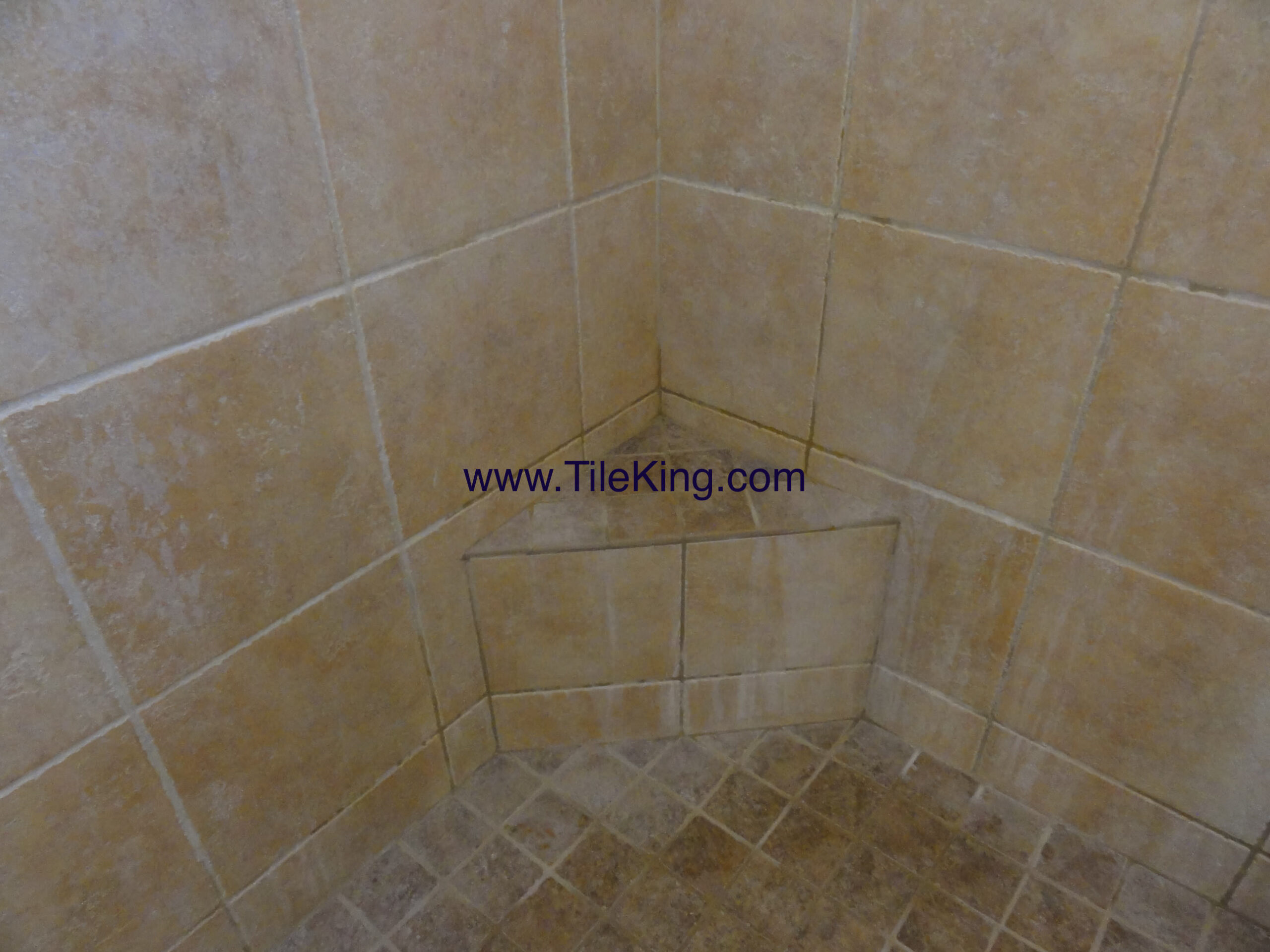 Travertine Shower Before Cleaning & Sealing